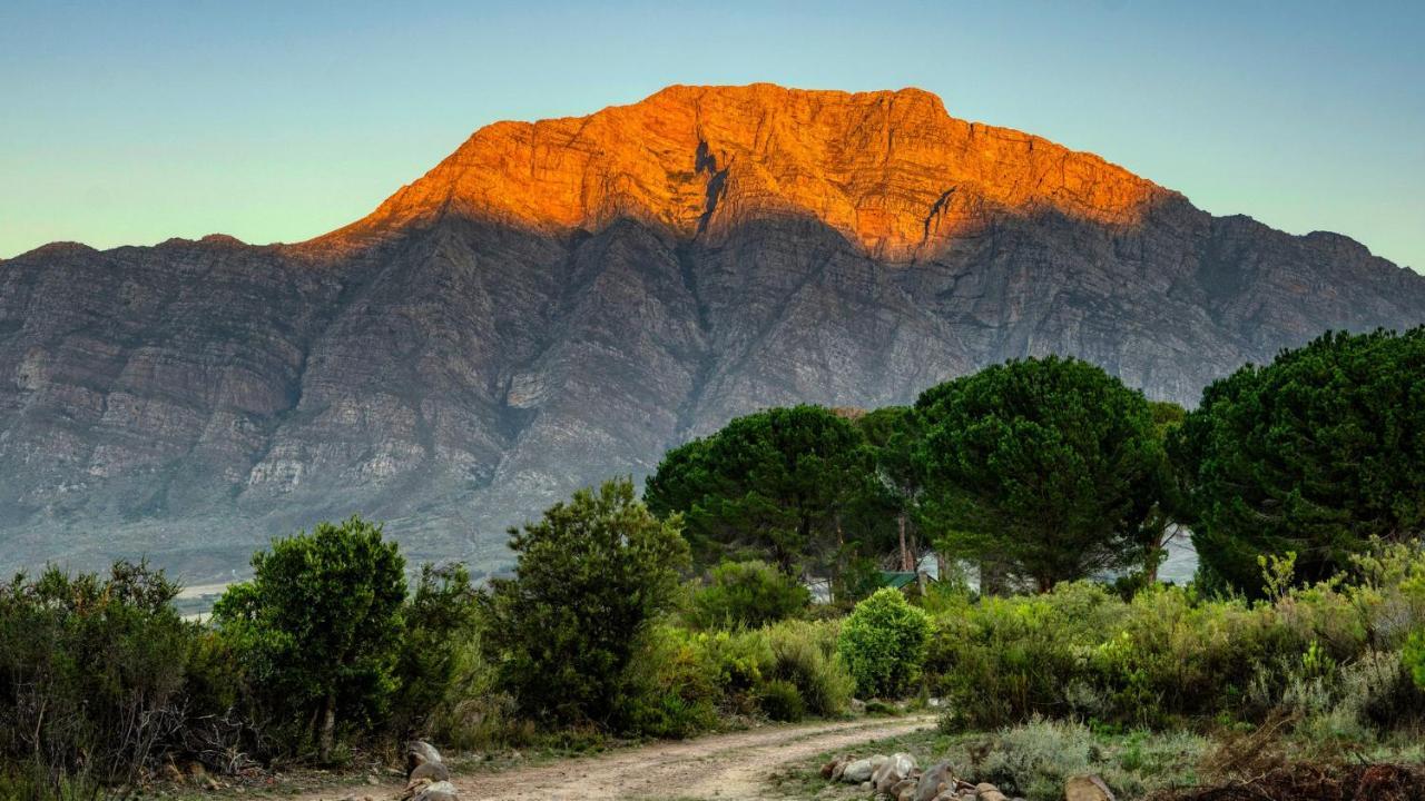Welbedacht Game & Nature Reserve Tulbagh Eksteriør billede