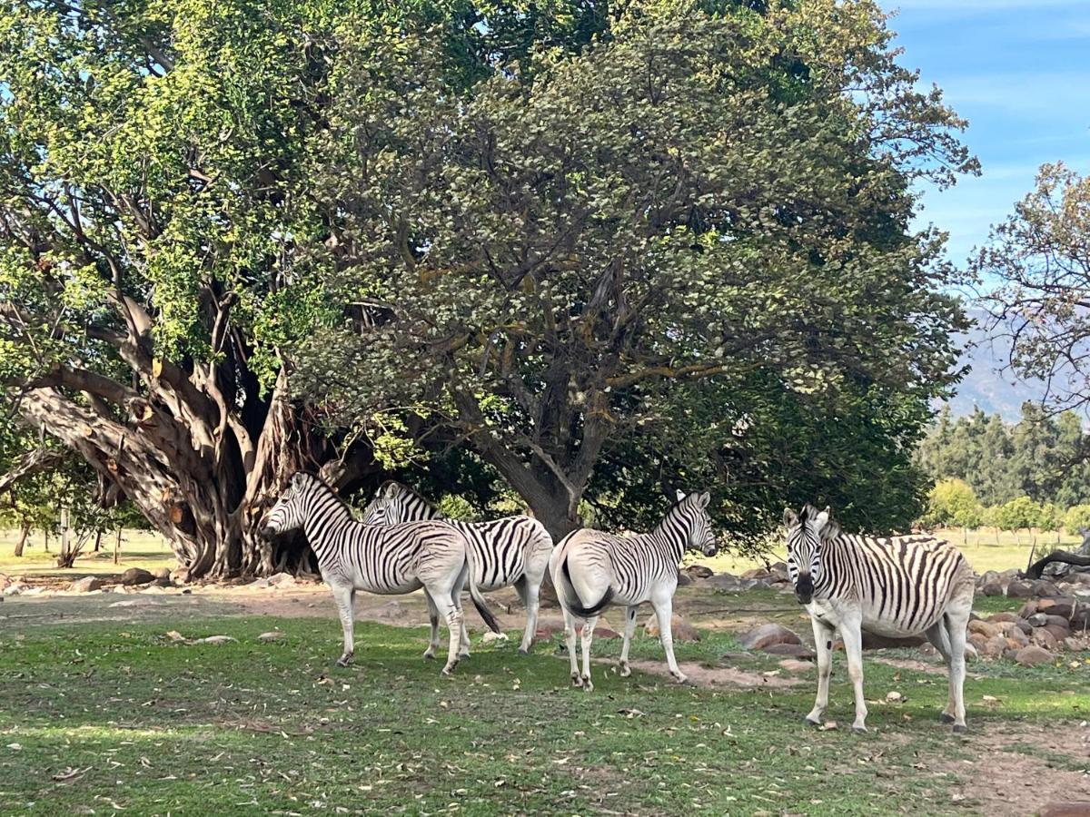 Welbedacht Game & Nature Reserve Tulbagh Eksteriør billede
