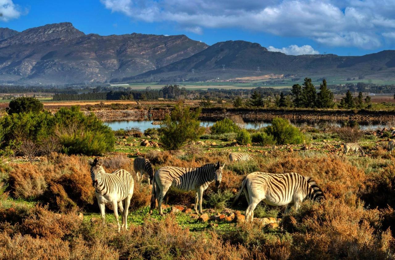 Welbedacht Game & Nature Reserve Tulbagh Eksteriør billede